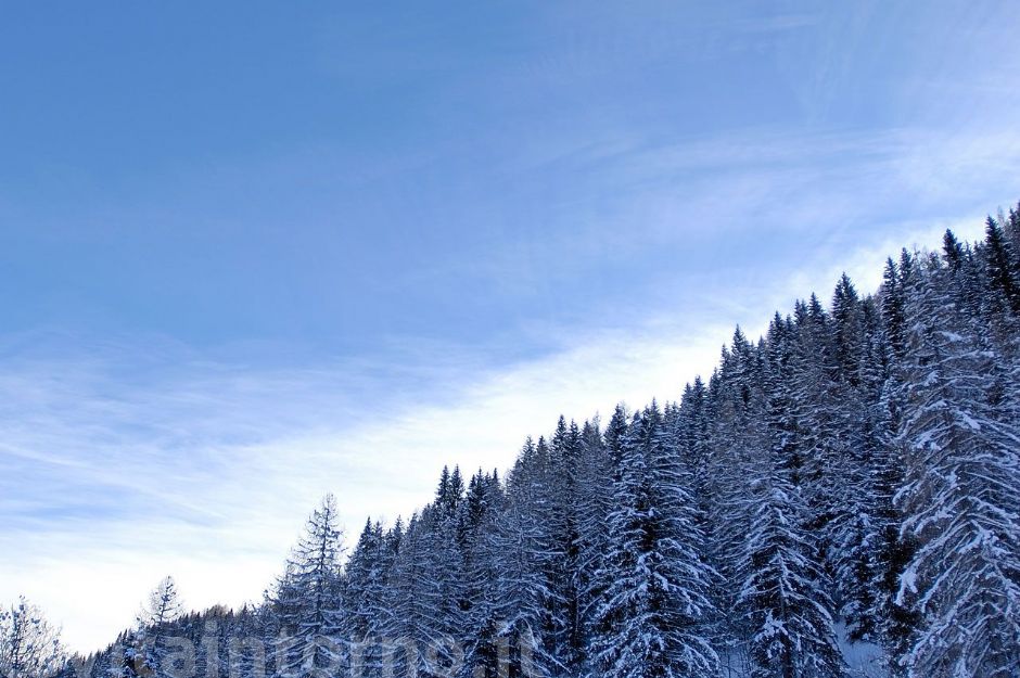 una netta divisione ...