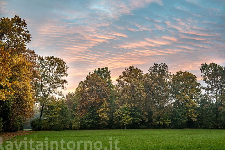 Autumn morning