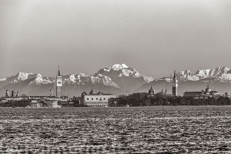 Venice experience: the bell towers and the owl