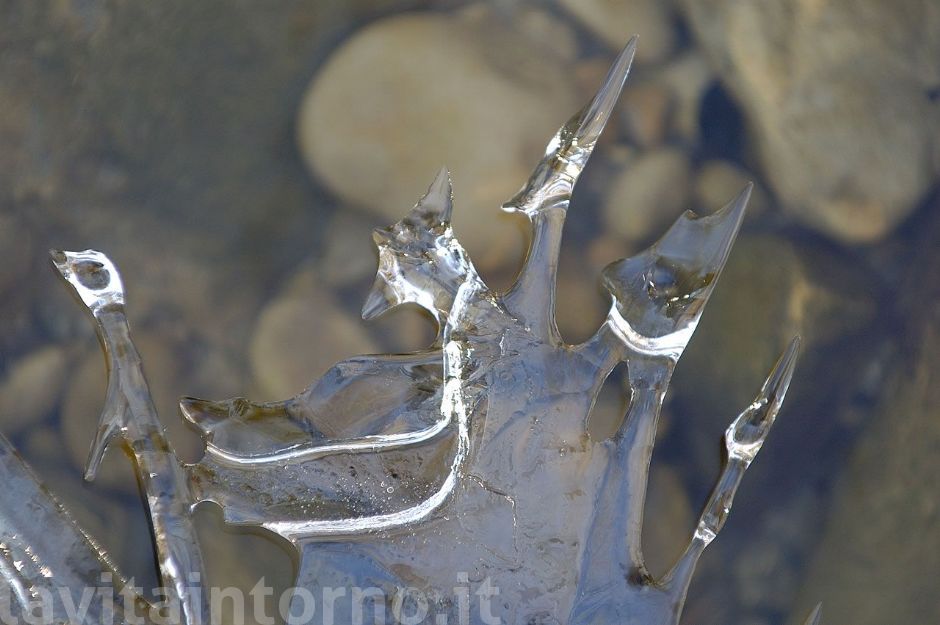 natural knife