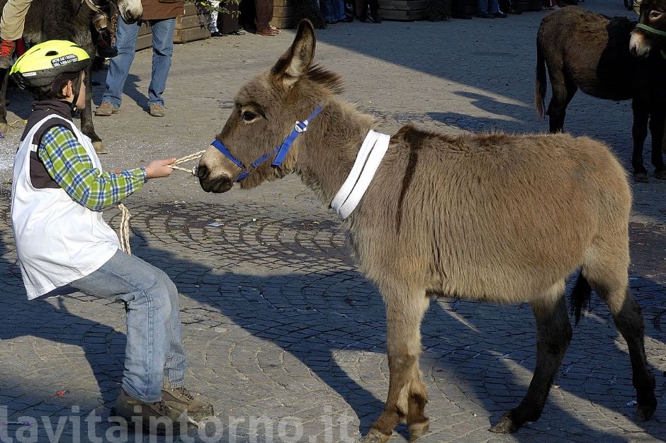 Renitenza ...e resistenza: una soluzione difficile