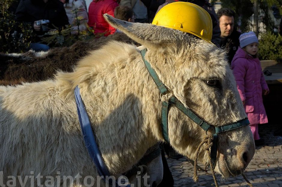 il simpatico ... vincitore