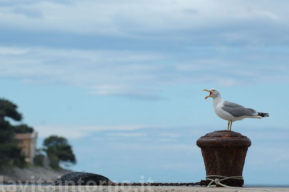 sei arrabbiato con me?