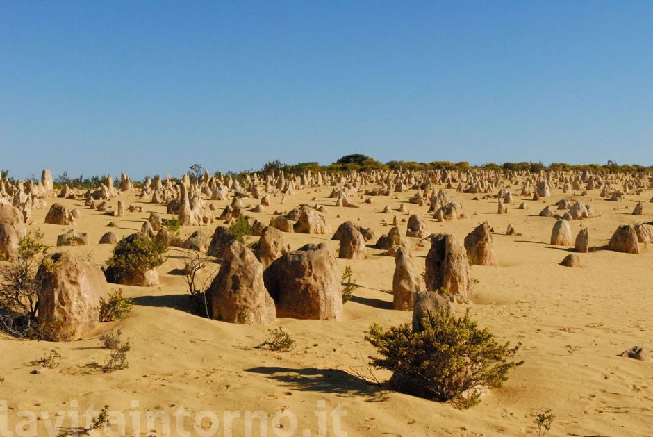 pinnacles desert #2