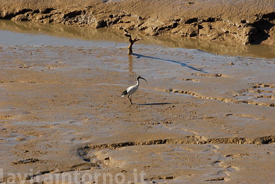 La marea si ritira ...