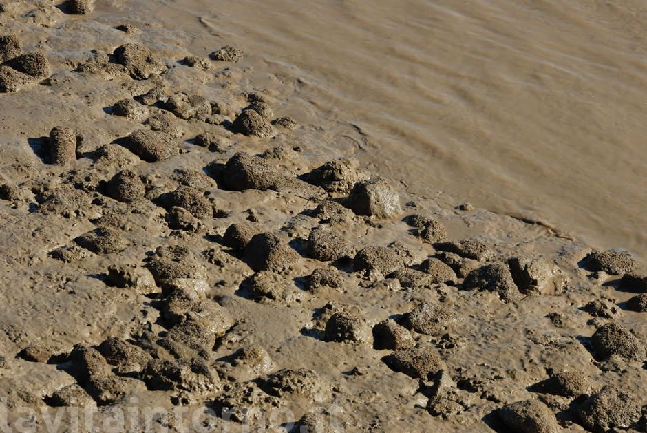 la marea si ritira #2