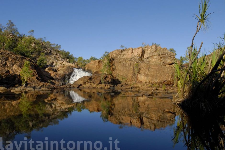 where the crocodile bit to me