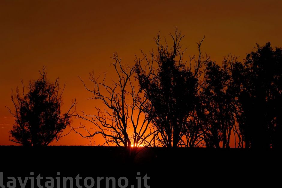sunset @ billabong in the Kakadu National Park