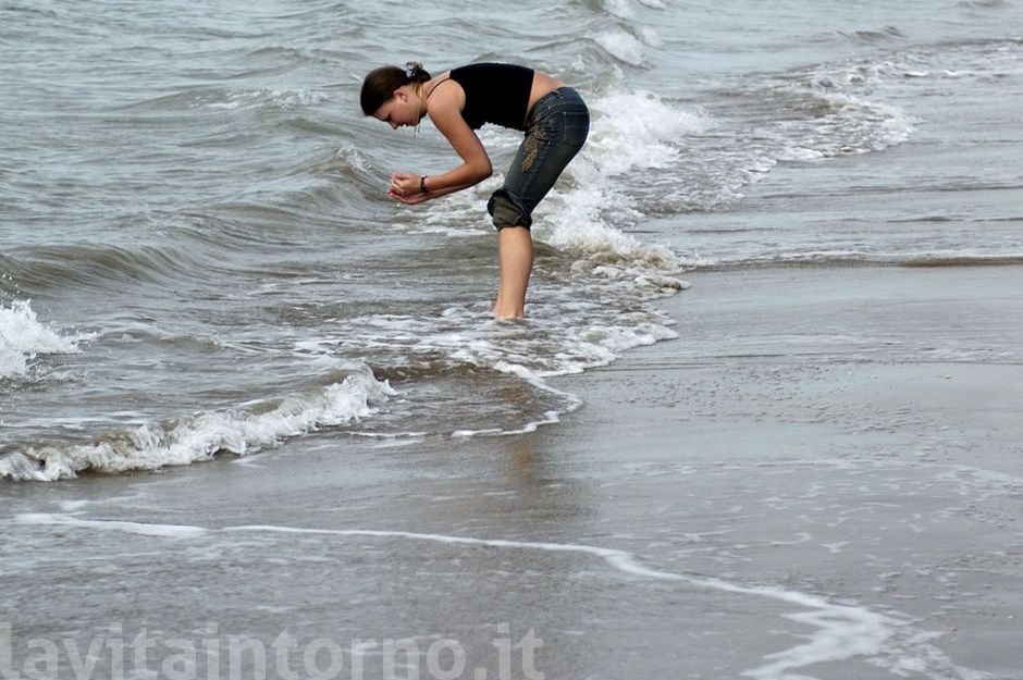 search
D70
Nikkor 28-70 F/2.8 AF-S  search