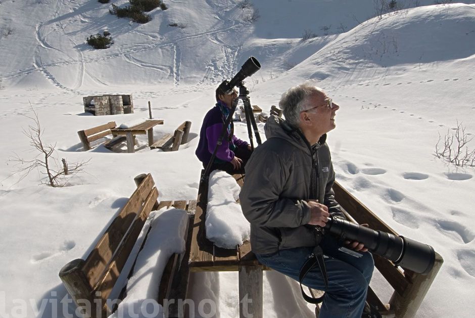 sul Grappa #3 ... punto di osservazione