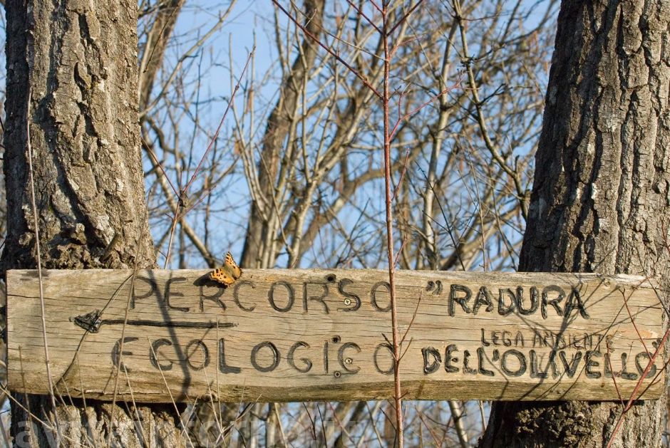 percorso ecologico