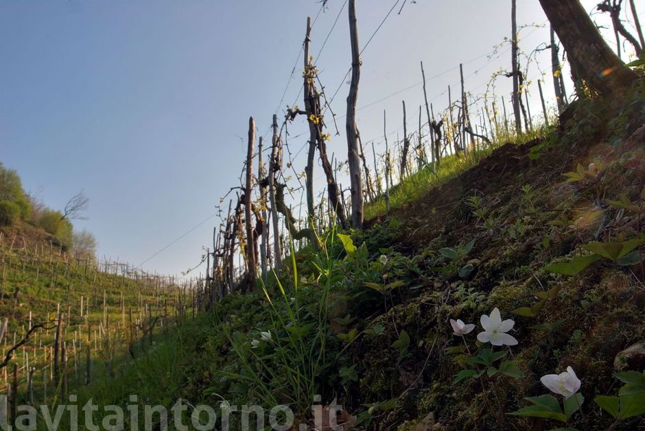 risveglio in collina