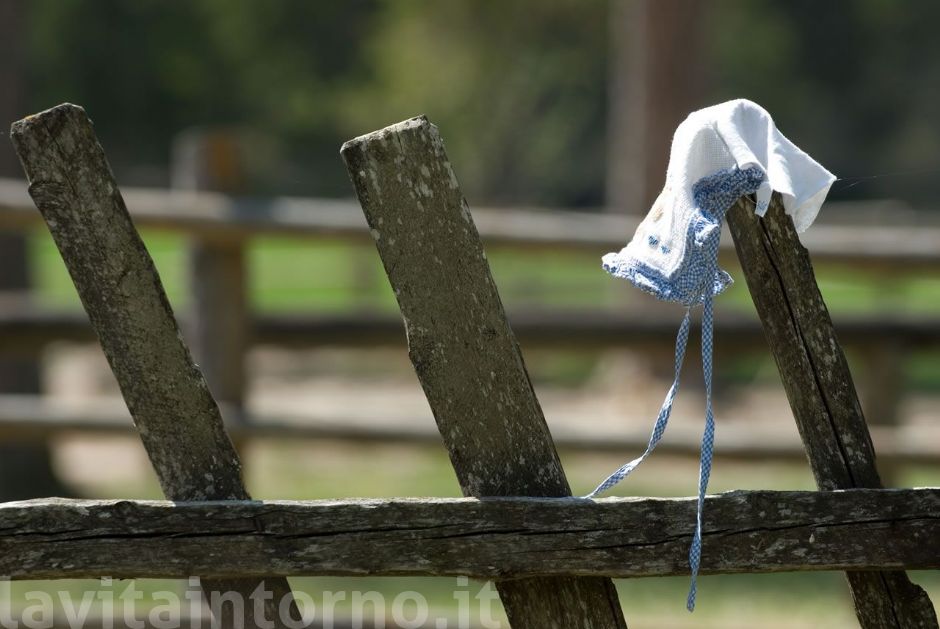 dimenticanze lungo il sentiero