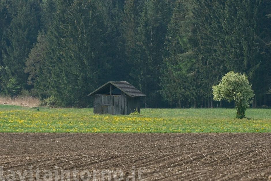 campagna e ... #2