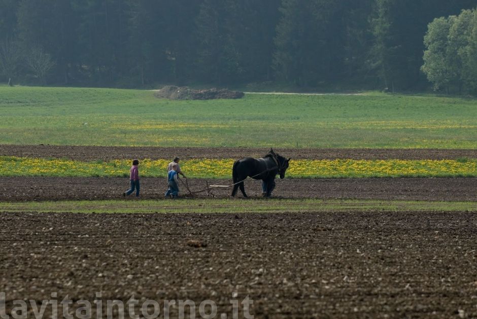 campagna ... e lavoro!