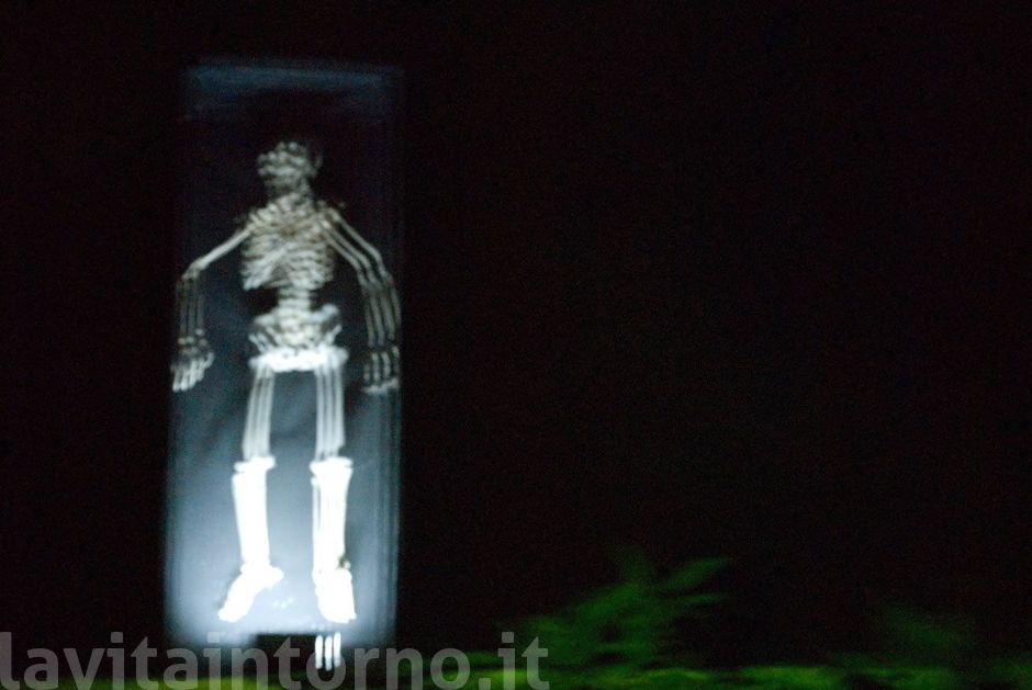 attivit� onirica #2