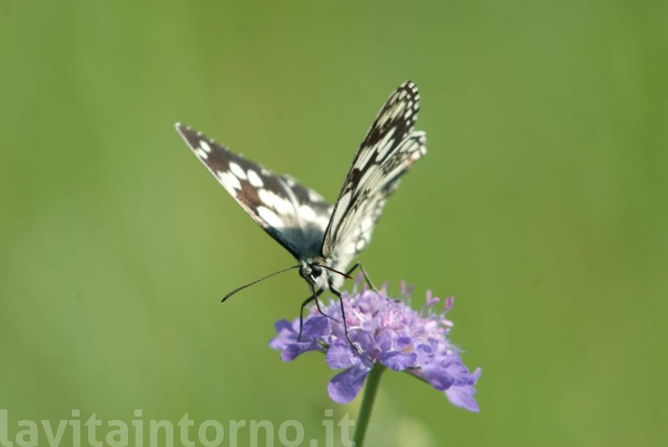 un instante, un incontro #2