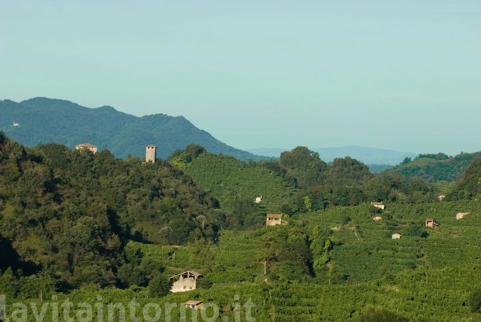 le colline del prosecco #2