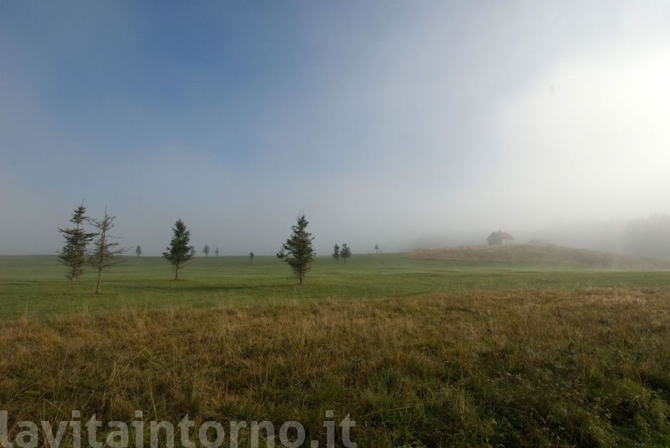 mattino sulla piana