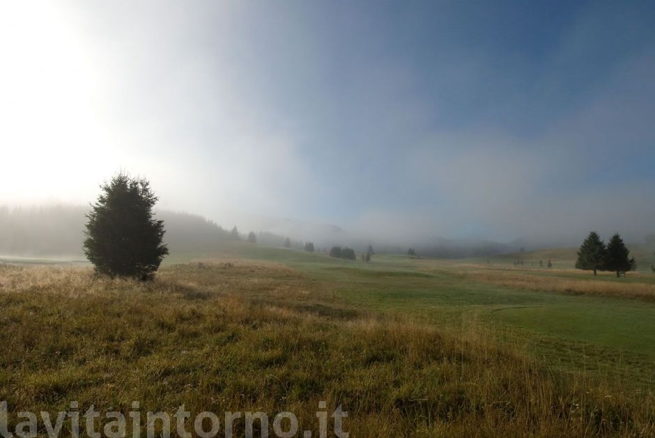 mattino sulla piana #2