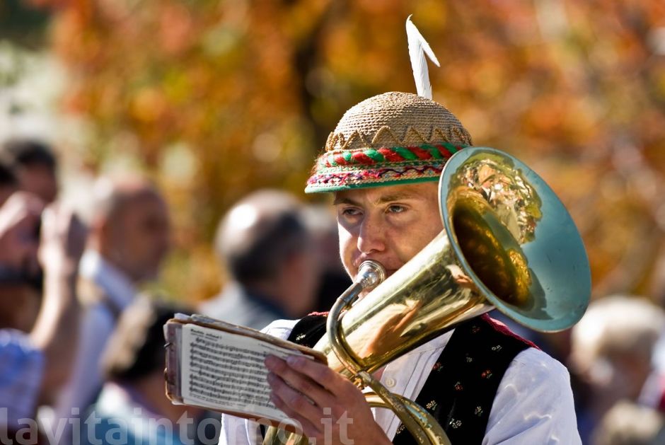 tirol erleben: musicante