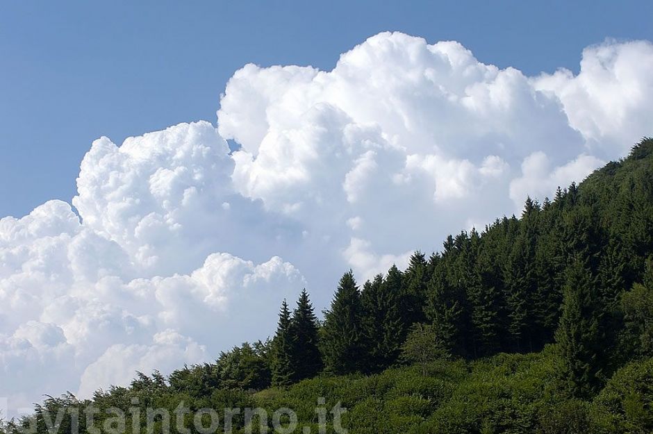 una piacevole giornata #2