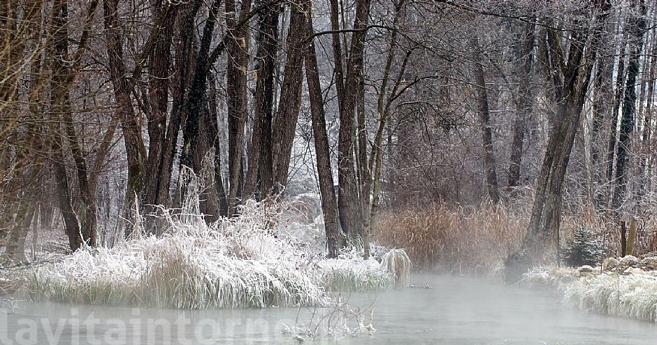 ricordo di un mattino ... fresco!