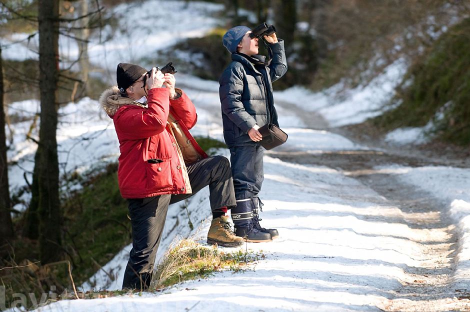 birdwatching ?