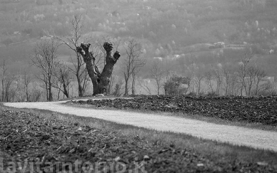 campagna veneta