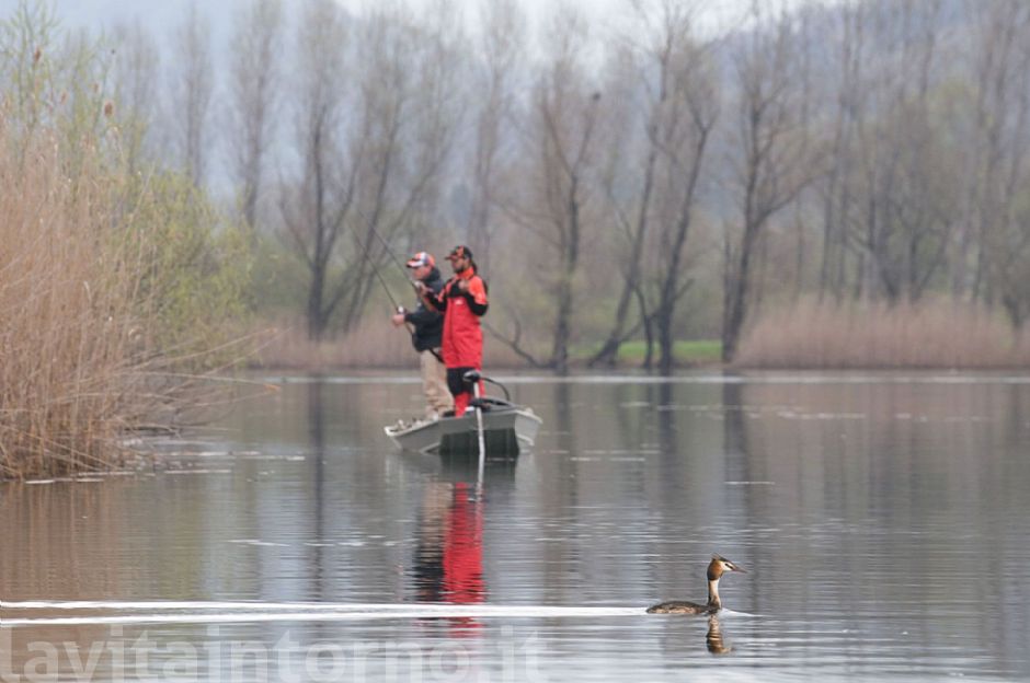 si pesca!