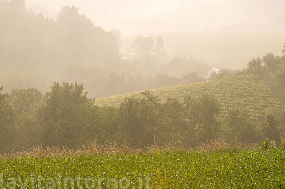 sotto una carezzevole pioggerellina
