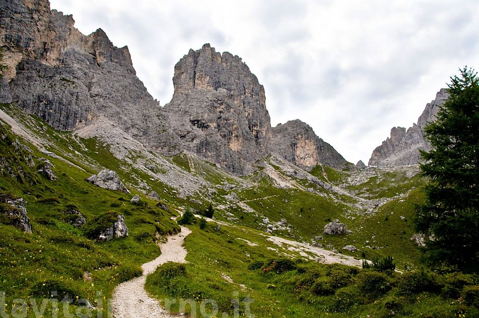 verso il rifugio Fonda Savio