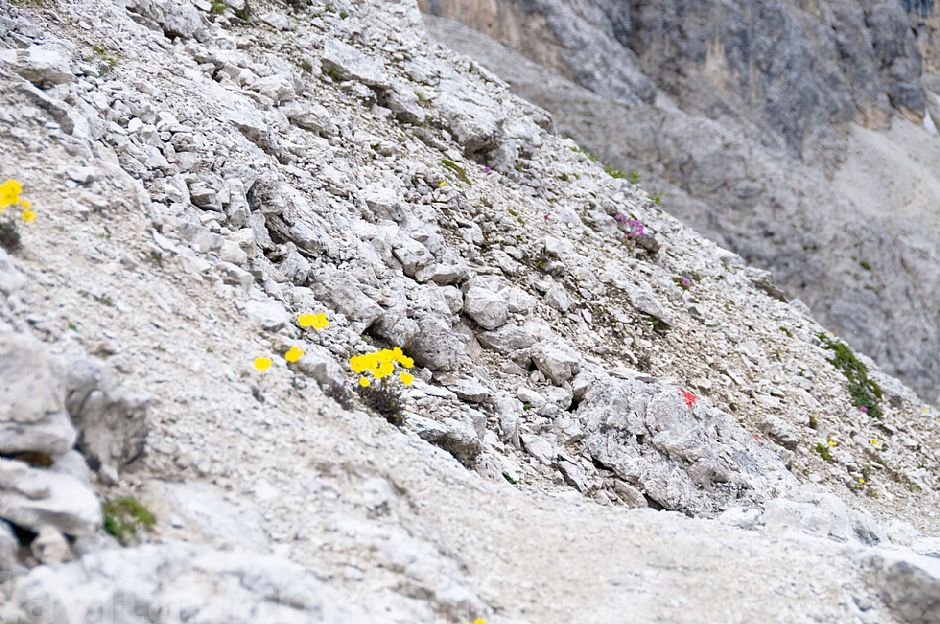 segnavia ... naturali e artificiali