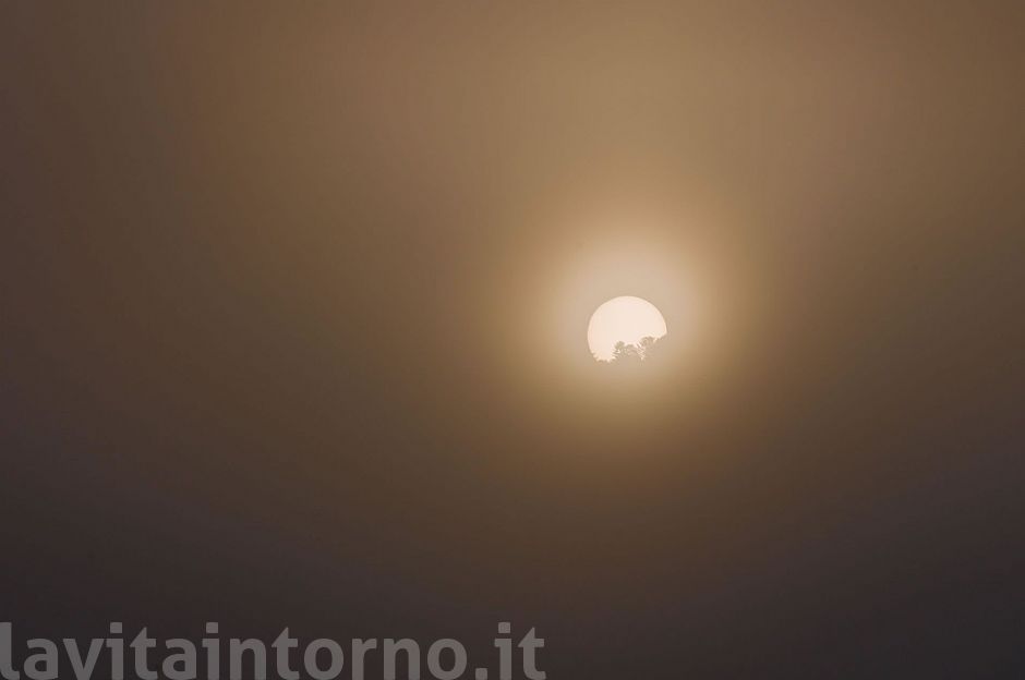 spuntare nella nebbia