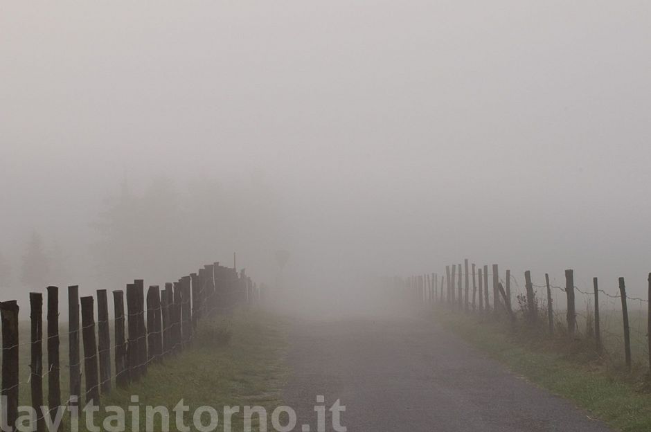 perdersi ... nella nebbia