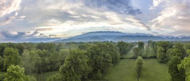 AUTORE: Ali e Radici Multivisioni AUTORE: Ali e Radici Multivisioni