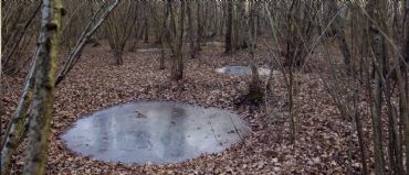 AUTORE: Ali e Radici Multivisioni AUTORE: Ali e Radici Multivisioni