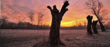 AUTORE: Ali e Radici Multivisioni AUTORE: Ali e Radici Multivisioni