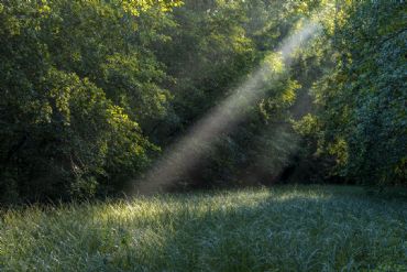 AUTORE: Breda Gianangelo AUTORE: Breda Gianangelo