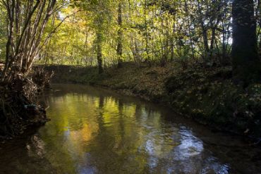 AUTORE: Breda Gianangelo AUTORE: Breda Gianangelo