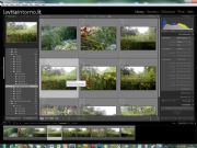 AUTORE: Ali e Radici Multivisioni AUTORE: Ali e Radici Multivisioni