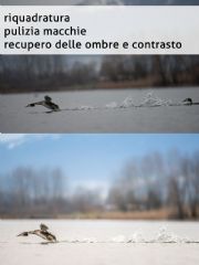 AUTORE: Ali e Radici Multivisioni AUTORE: Ali e Radici Multivisioni