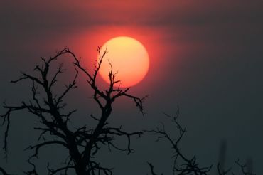 AUTORE: Ali e Radici Multivisioni AUTORE: Ali e Radici Multivisioni