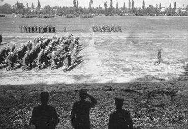 AUTORE: Ali e Radici Multivisioni AUTORE: Ali e Radici Multivisioni