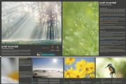 AUTORE: Ali e Radici Multivisioni AUTORE: Ali e Radici Multivisioni